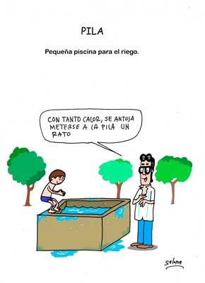 ElCampeYChanito